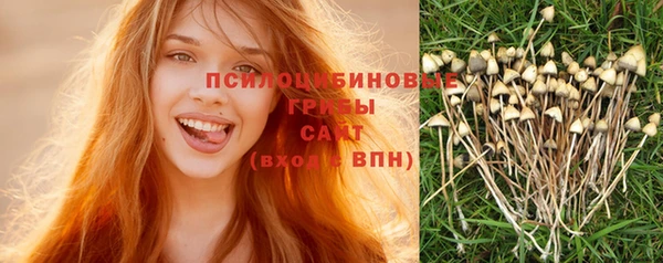 прущая мука Волоколамск