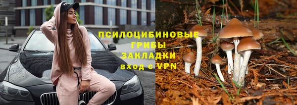 прущая мука Волоколамск