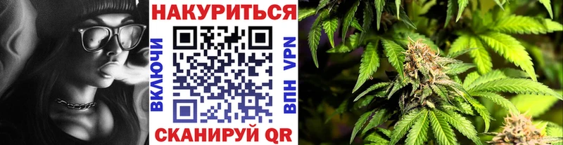 наркота  Владимир  Бошки Шишки марихуана 